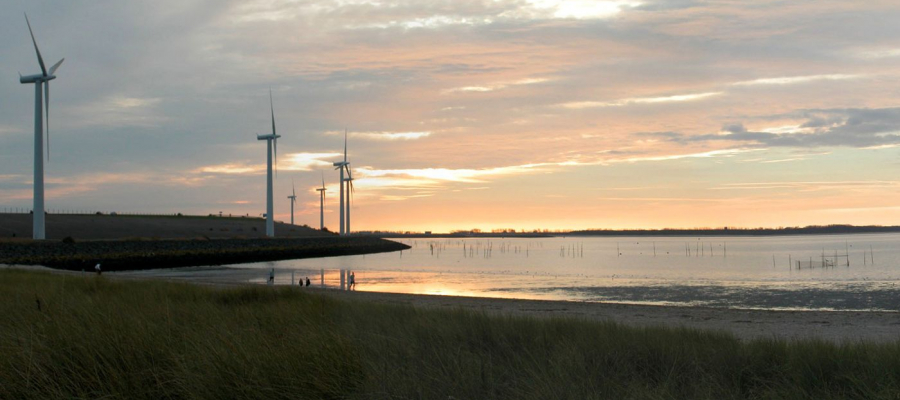 Bild von Windkraftanlagen auf einer Wiese mit Schafen daneben das Meer
